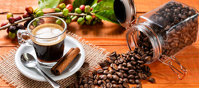 uma xícara de café com vários grãos e ramos de café