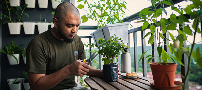 homem cultivando horta no apartamento