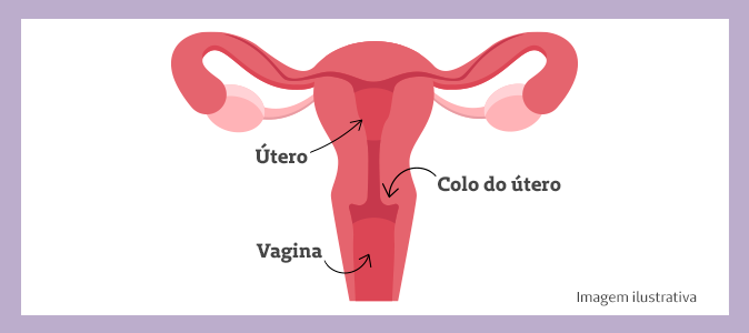 ilustração - localização do colo do útero