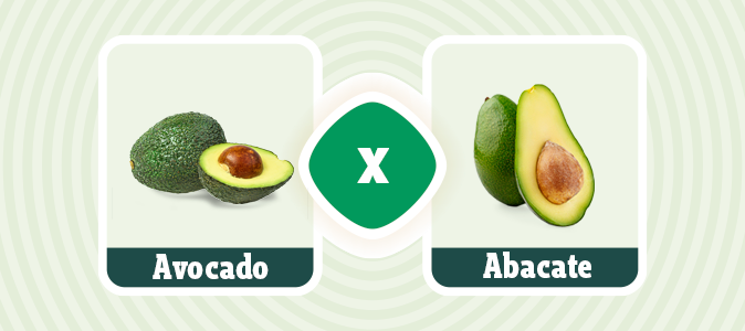 Diferença entre avocado e abacate