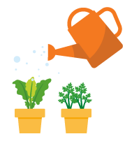 Ilustração de dois vasos com plantinhas sendo regados