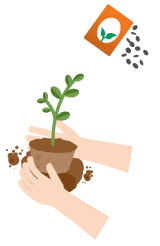 Ilustração de um pacote de sementes com sementes escuras saindo e duas mãos cuidando de um vaso com plantas